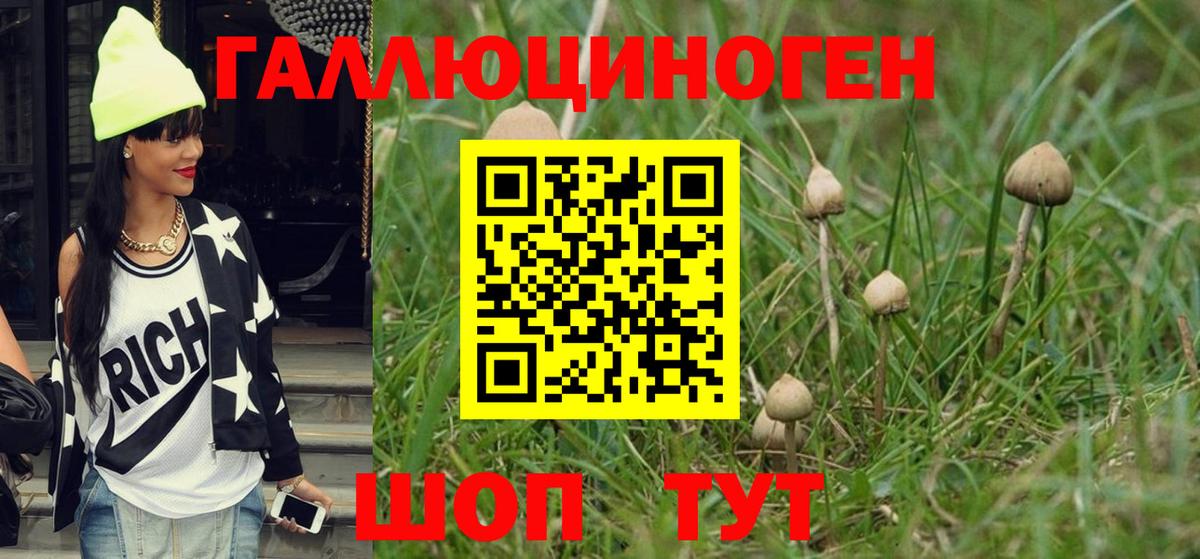 Галлюциногенные грибы MAGIC MUSHROOMS Грязи