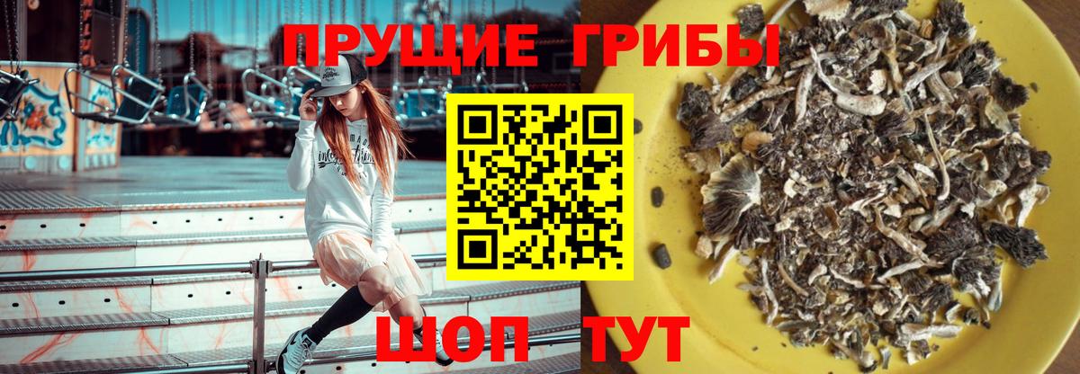 Грязи  Псилоцибиновые грибы мухоморы  Вход с VPN 